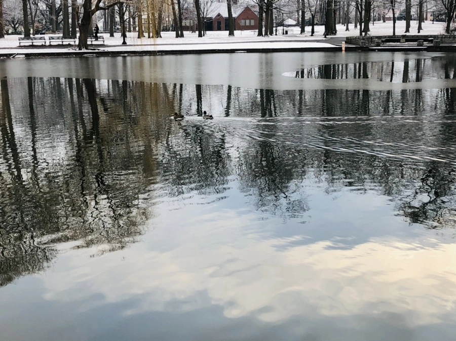 IMG_4527.jpg?type=w966