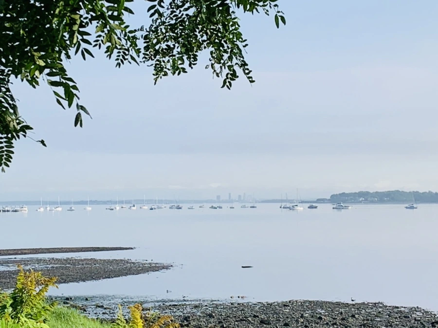 IMG_4390.jpg?type=w966