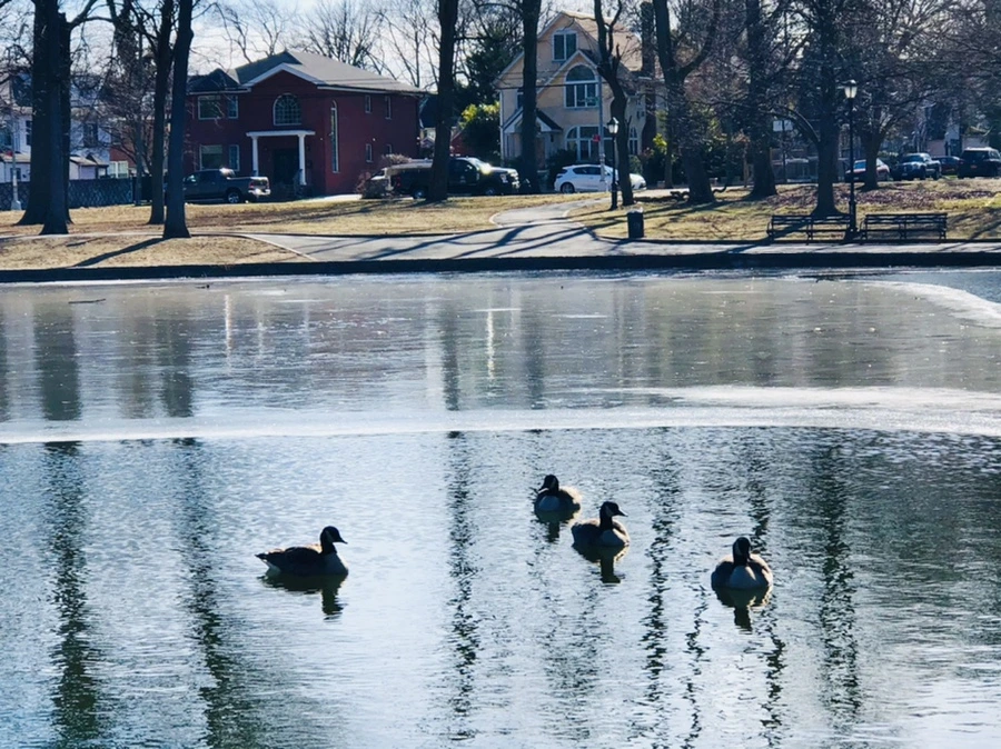 IMG_5535.jpg?type=w966