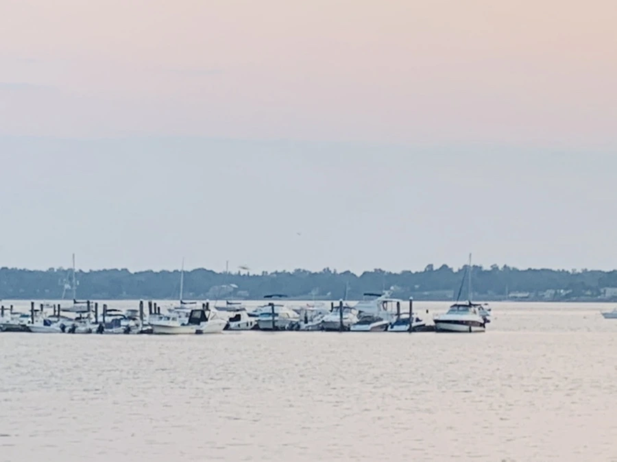 IMG_2389.jpg?type=w966