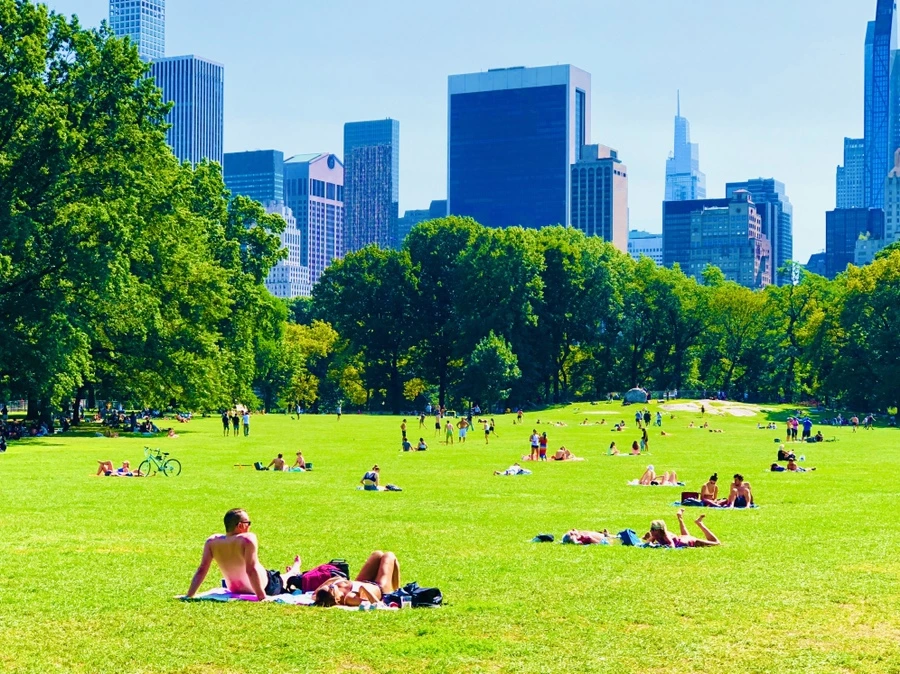 IMG_9348.jpg?type=w966