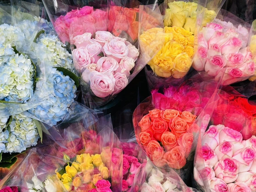 IMG_1815.jpg?type=w966