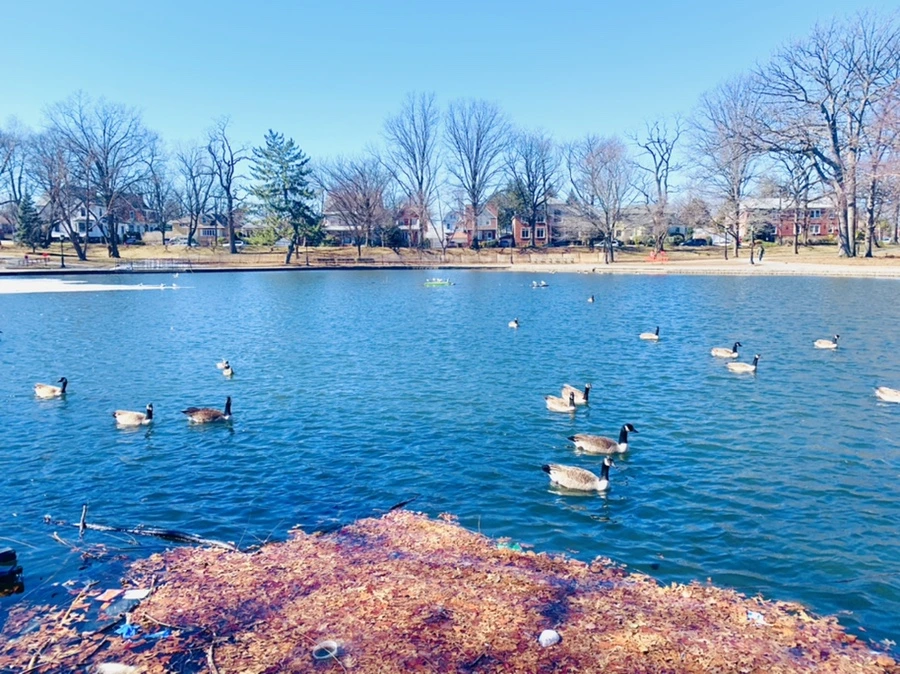 IMG_6653.jpg?type=w966