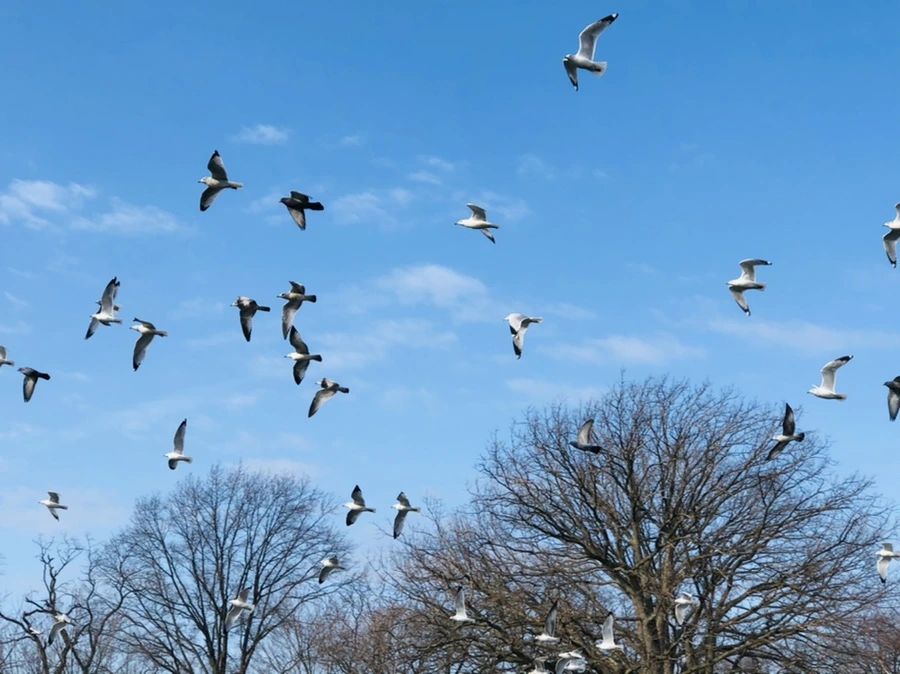 IMG_4707.jpg?type=w966