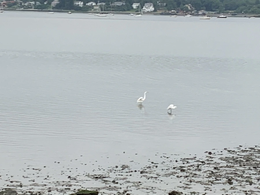 IMG_3665.jpg?type=w966