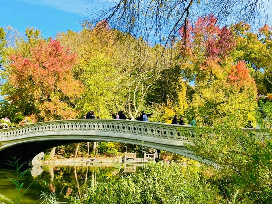 IMG_0248.jpg?type=w966