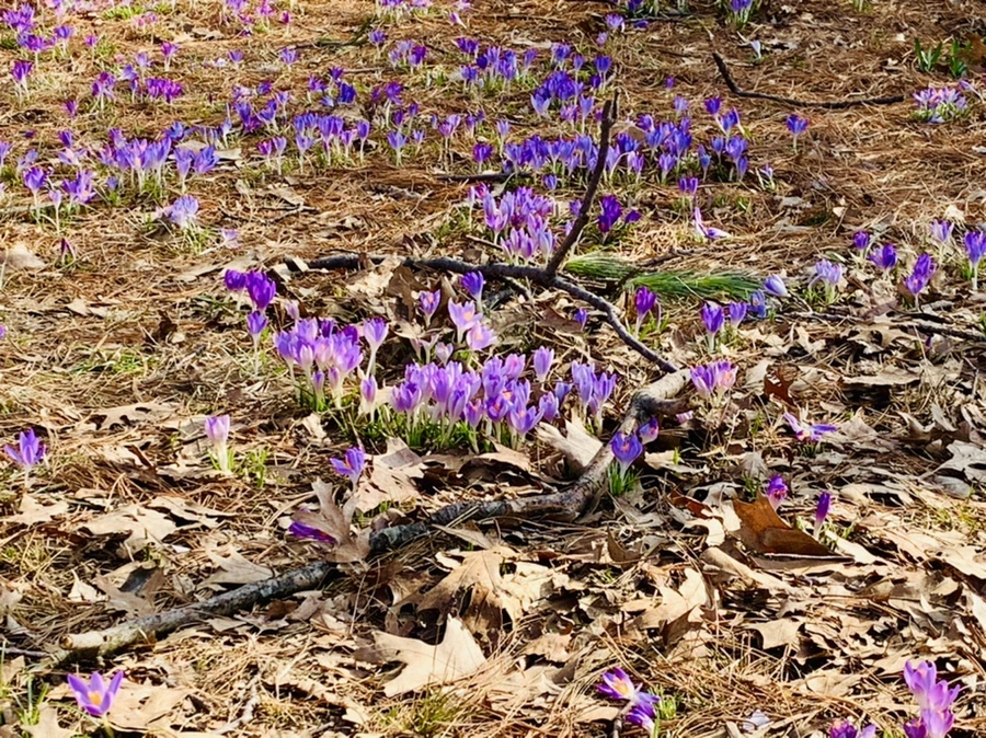 IMG_0180.jpg?type=w966