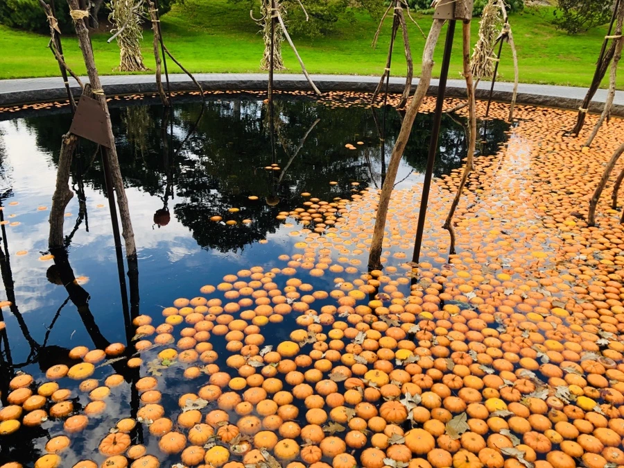 IMG_1574.jpg?type=w966