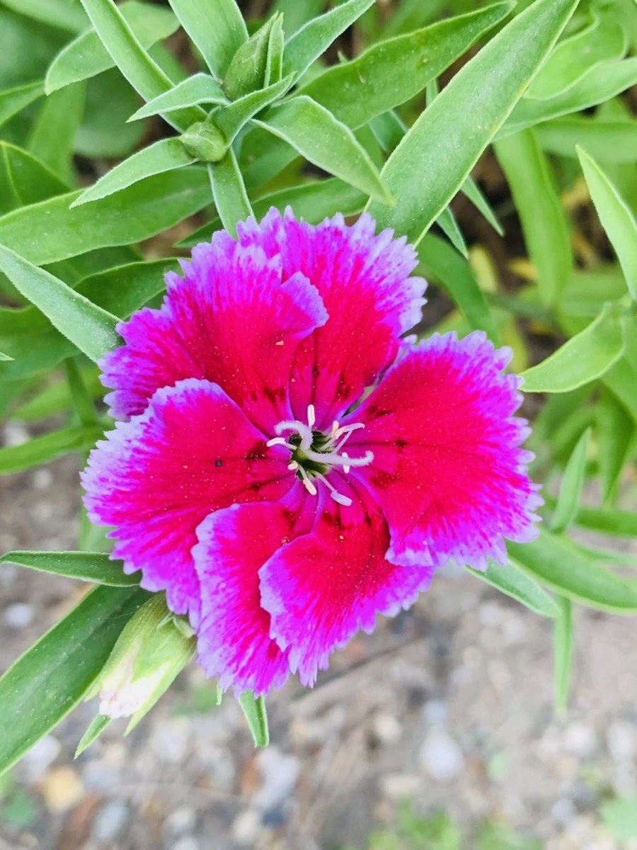 IMG_9016.jpg?type=w966