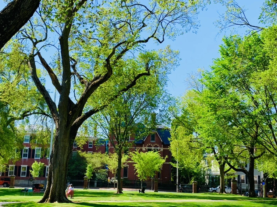 IMG_3084.jpg?type=w966