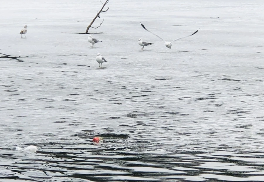 IMG_6051.jpg?type=w966