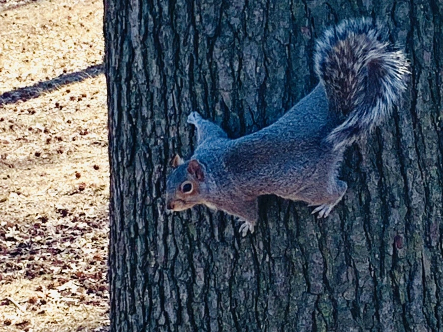 IMG_6950.jpg?type=w966