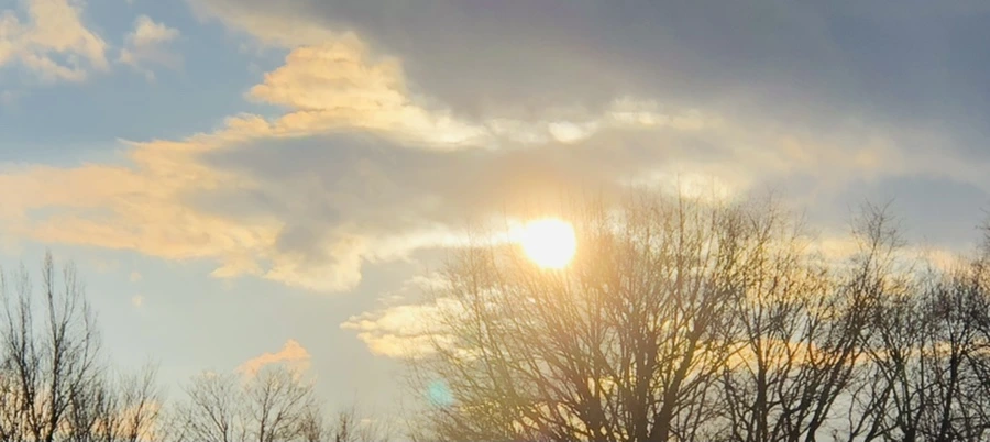 IMG_4411.jpg?type=w966