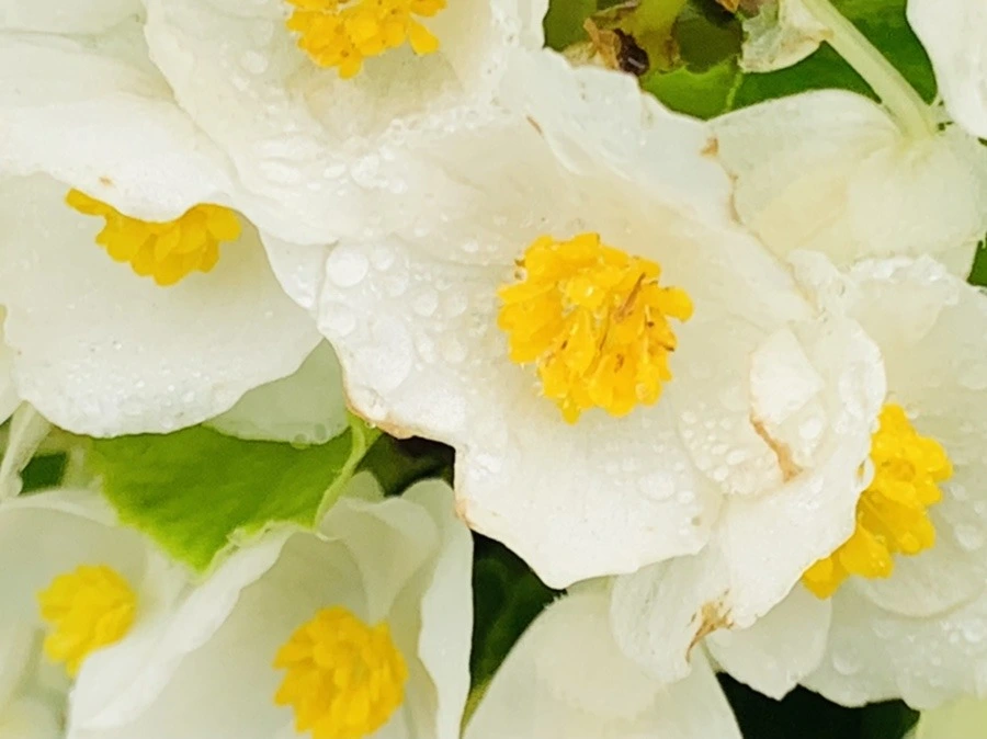 ewZ6m06GZx4E0v5nesqYJs1OfnM