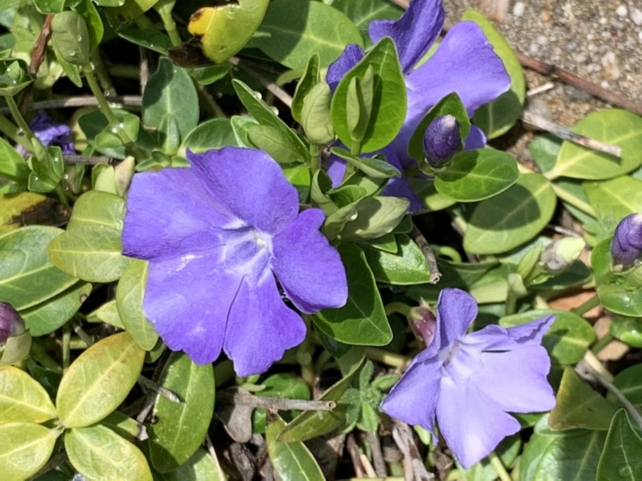 IMG_4027.jpg?type=w966