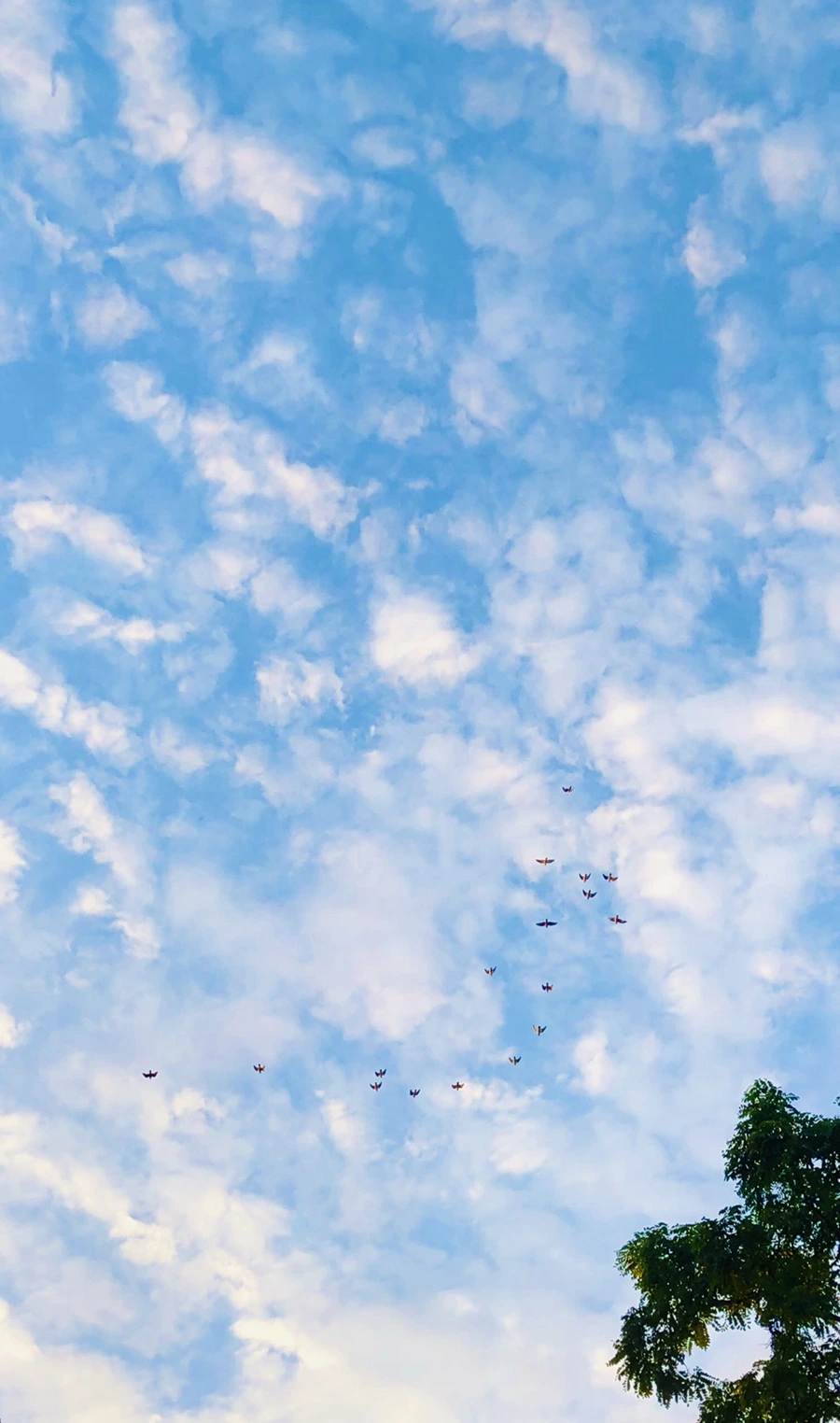 IMG_3733.jpg?type=w966