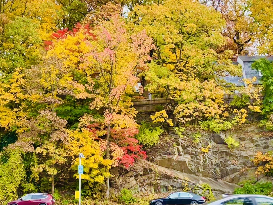 IMG_2300.jpg?type=w966