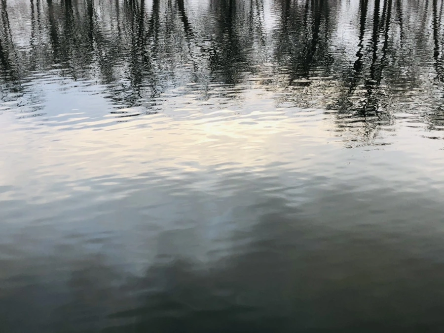 IMG_4529.jpg?type=w966