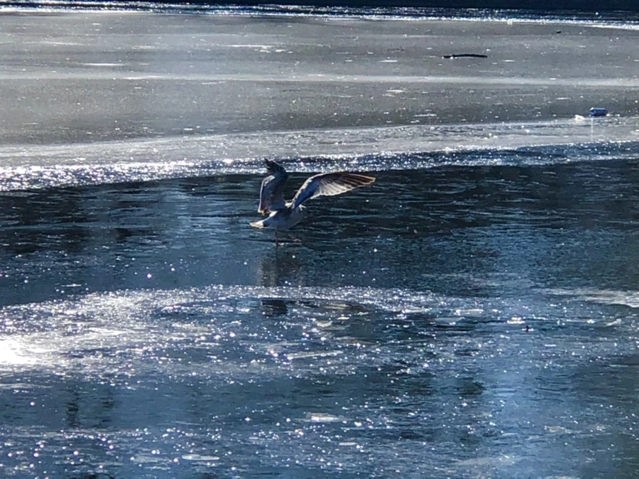 IMG_7794.jpg?type=w966