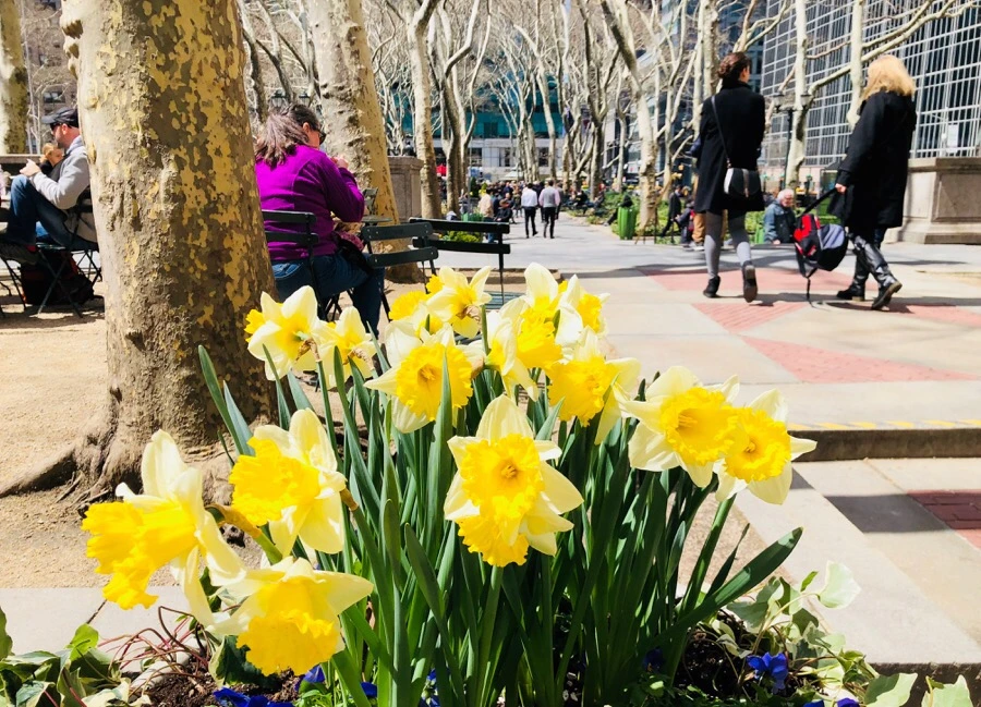 IMG_4576.jpg?type=w966