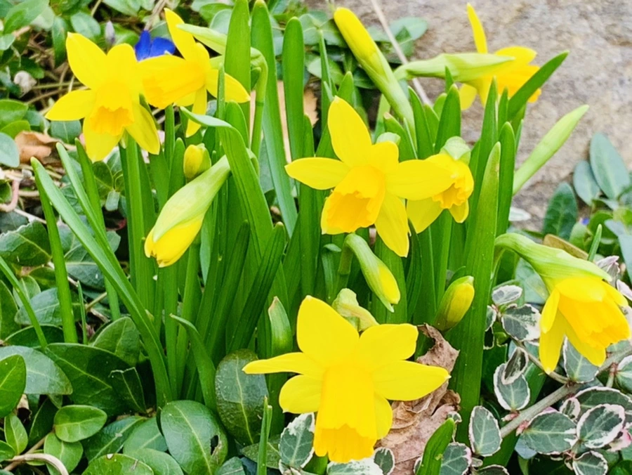 IMG_3212.jpg?type=w966