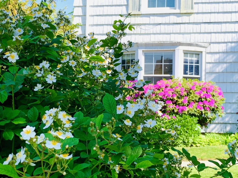 IMG_4665.jpg?type=w966