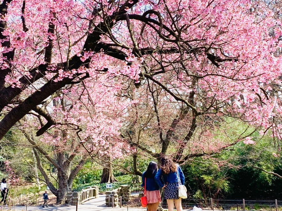 IMG_7341.jpg?type=w966