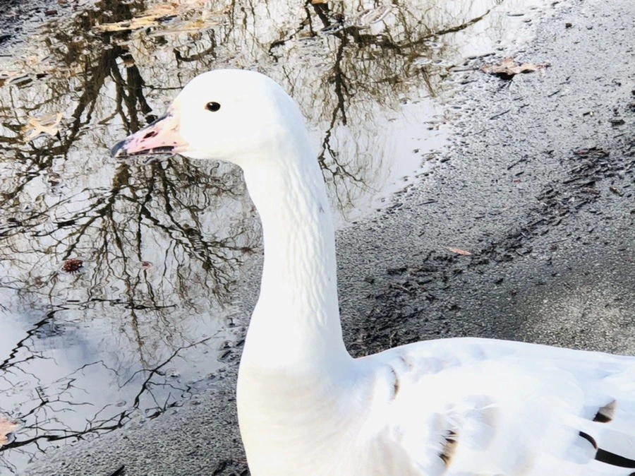 qsKk9B0OERKEgwZS52coMFxntls