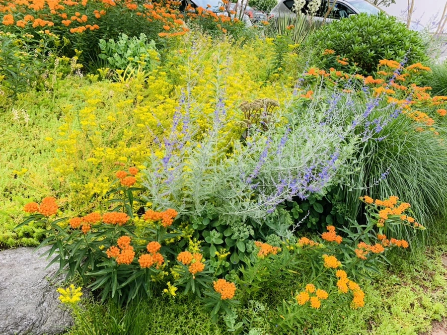 IMG_7219.jpg?type=w966