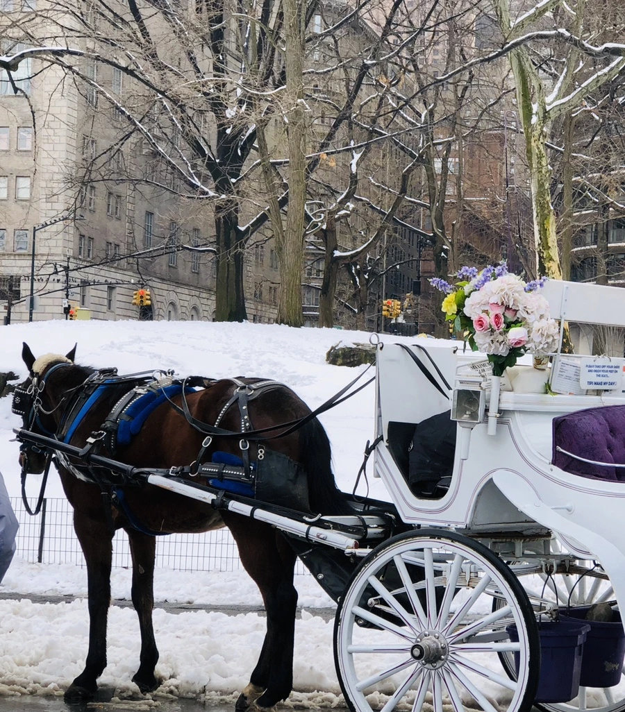 IMG_0380.jpg?type=w966