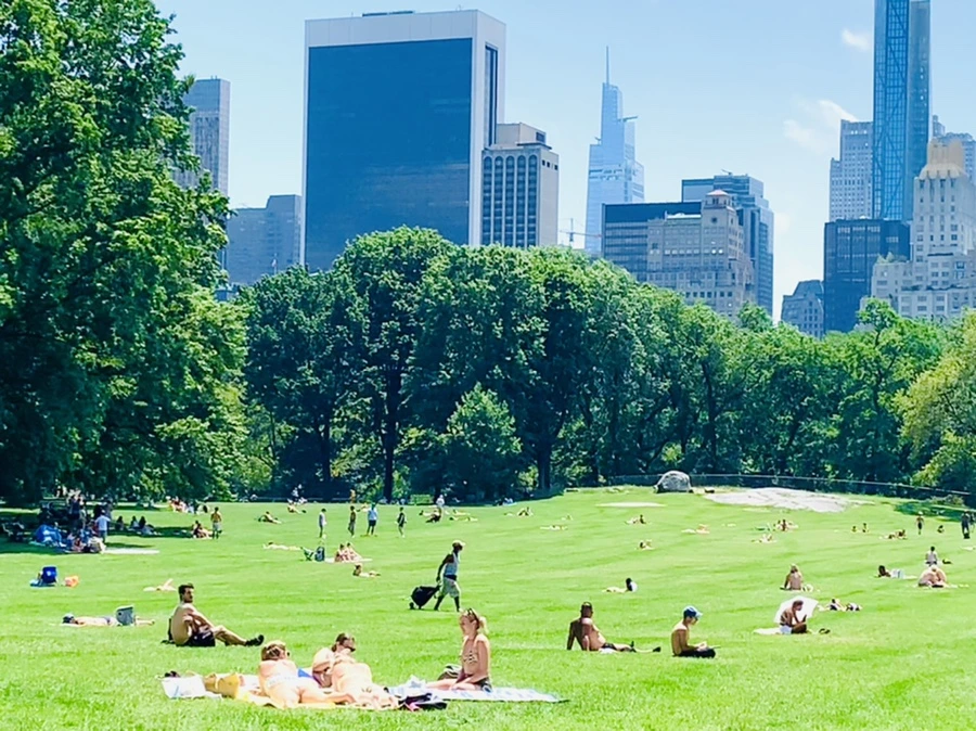 IMG_5393.jpg?type=w966