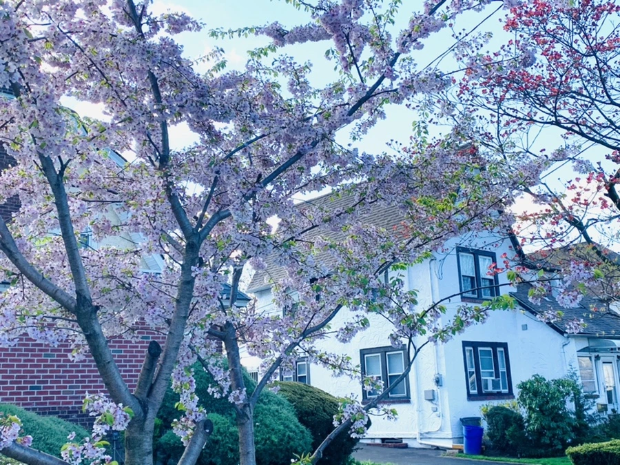 IMG_2610.jpg?type=w966