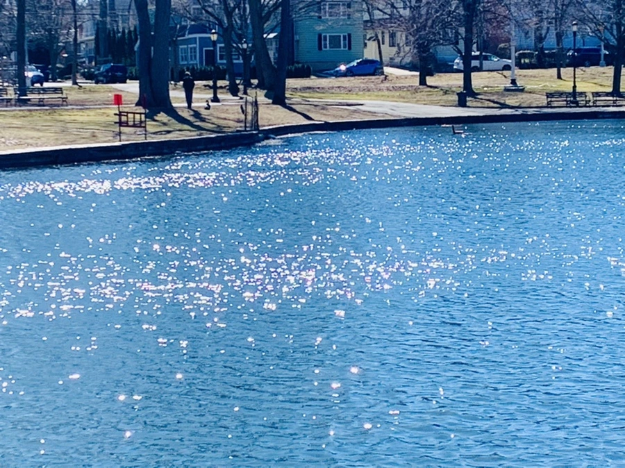 IMG_7554.jpg?type=w966