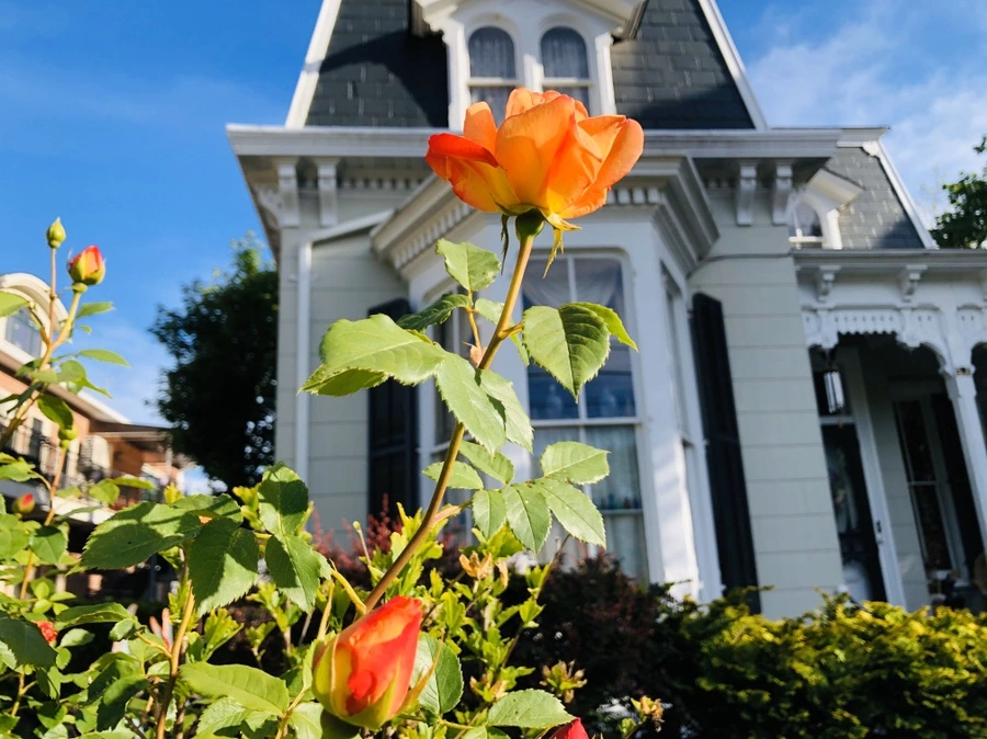 IMG_7316.jpg?type=w966