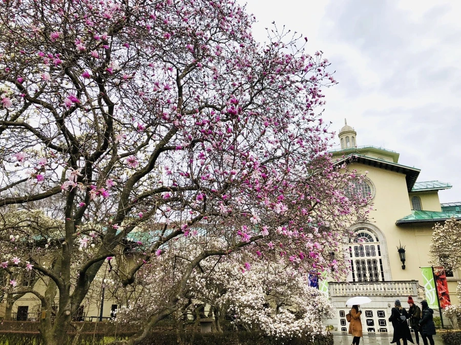 IMG_2380.jpg?type=w966