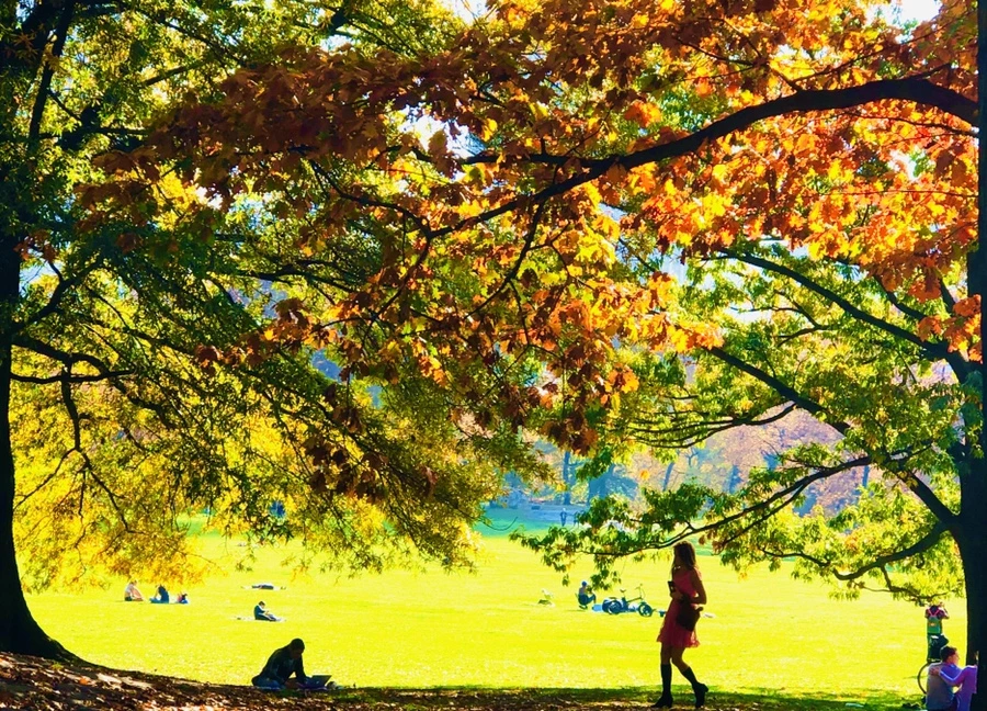 IMG_4337.jpg?type=w966