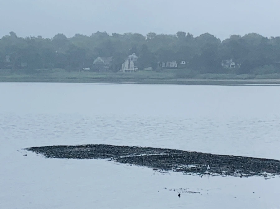 IMG_4765.jpg?type=w966