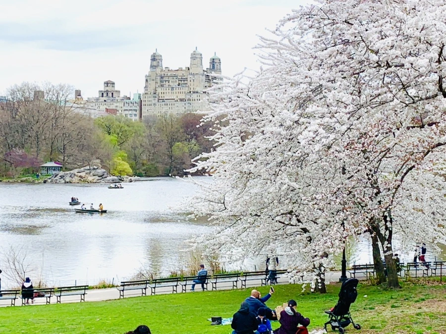 IMG_9849.jpg?type=w966