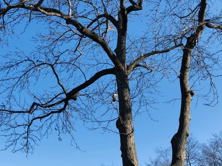 IMG_9244.jpg?type=w966