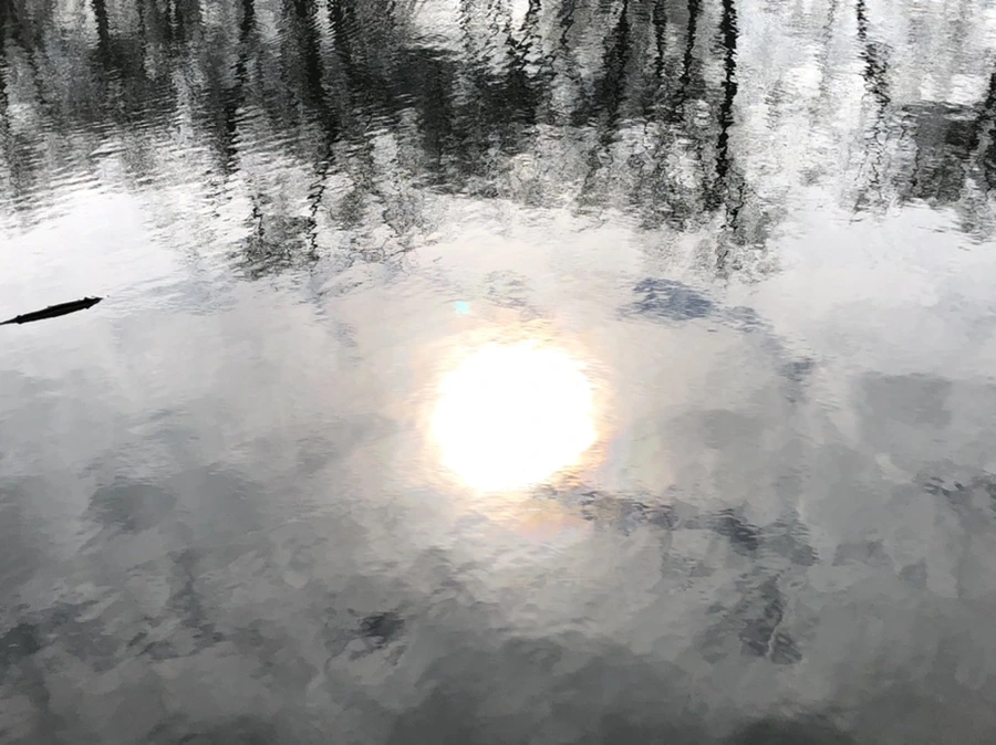 IMG_9861.jpg?type=w966