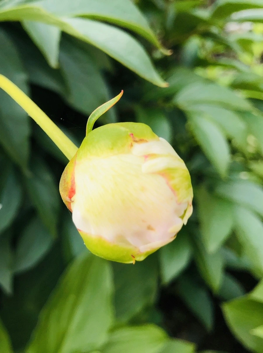 JXXHDoMsoigVh7gjPoGqLCBseWk