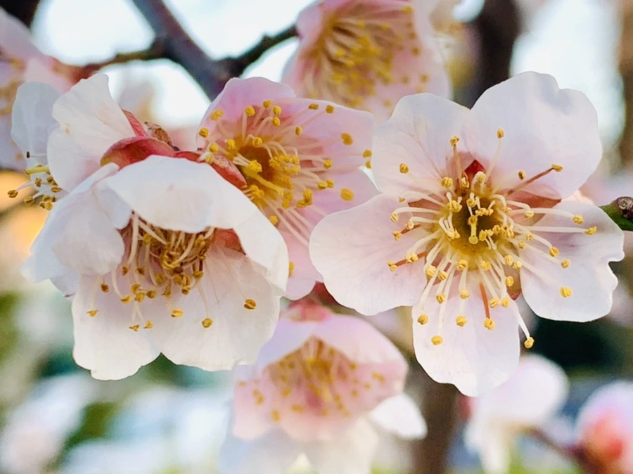 IMG_2266.jpg?type=w966