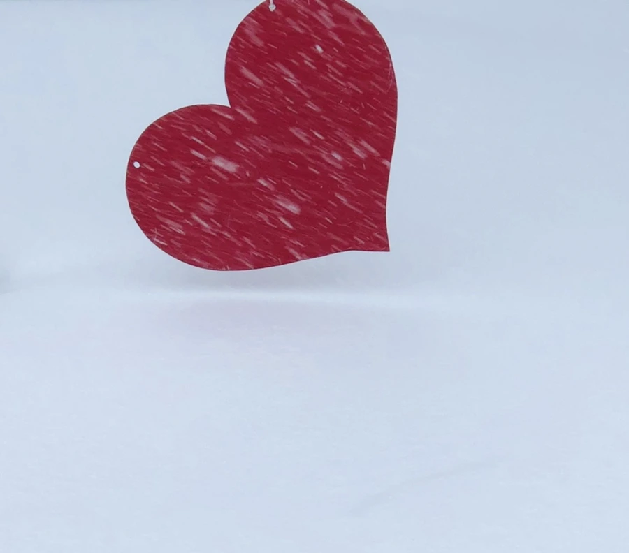 IMG_8793.jpg?type=w966