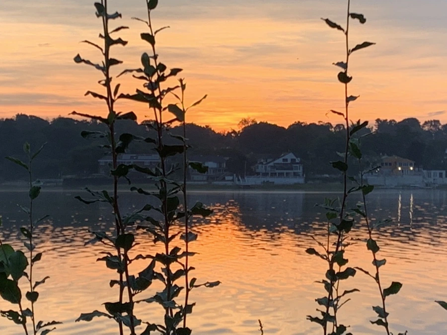 IMG_6782.jpg?type=w966