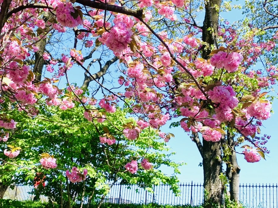 IMG_5839.jpg?type=w966