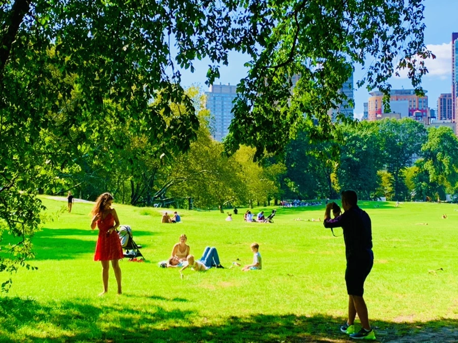 IMG_9662.jpg?type=w966