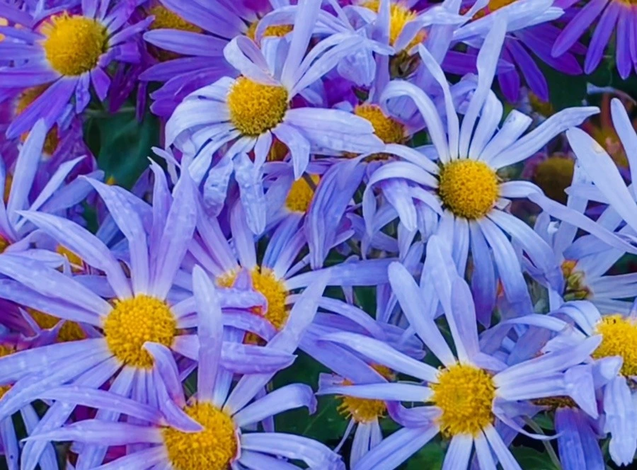 yE7DSfiJAzZ1cUJc4C0ZBzim7OY