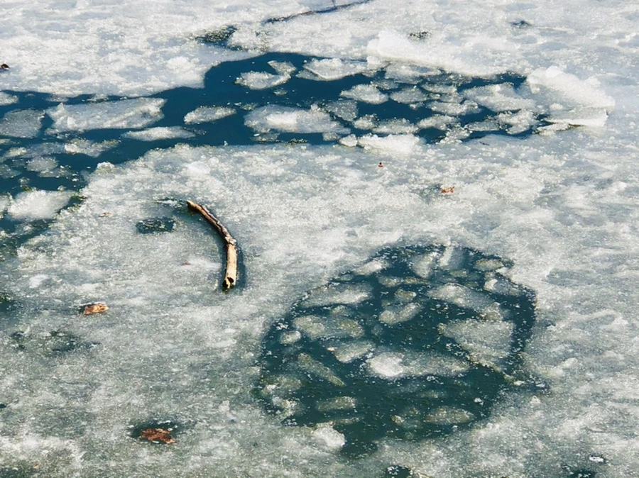 IMG_5121.jpg?type=w966