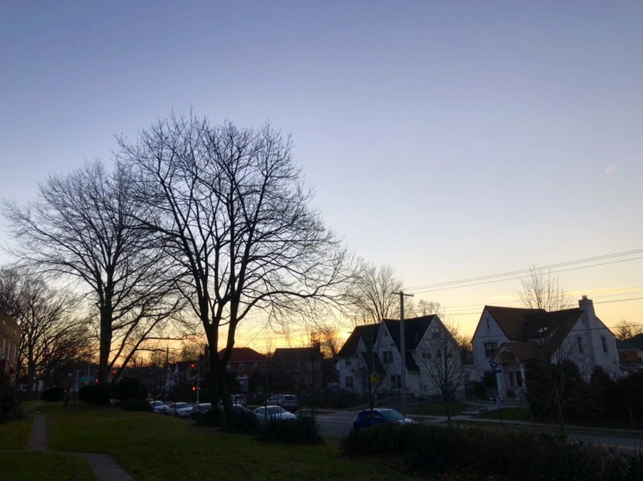 IMG_1076.jpg?type=w966