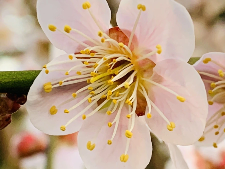 IMG_2800.jpg?type=w966